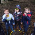 IMG-20241017-WA0068