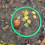 IMG-20241017-WA0074
