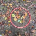 IMG-20241017-WA0075