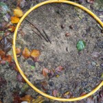 IMG-20241017-WA0077
