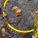 IMG-20241017-WA0078